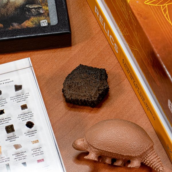 Glyptodon Scute - Hand-Held Specimens on Sale