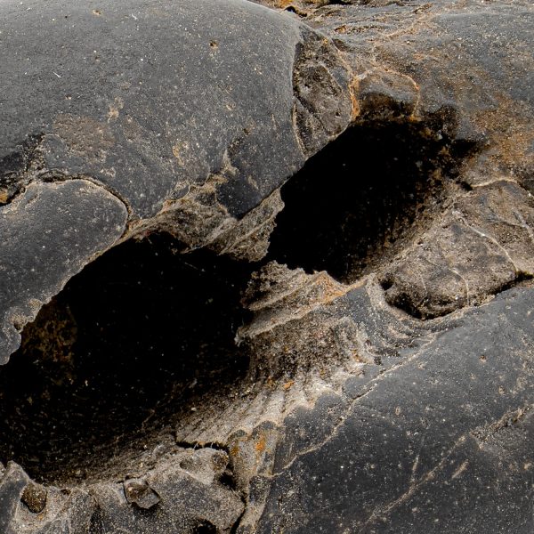 Tethys Ocean Fossil - 2.84  Ammonite Shell For Cheap - Image 2